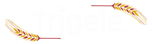 cropped-logo_trigele_transparente-300x88